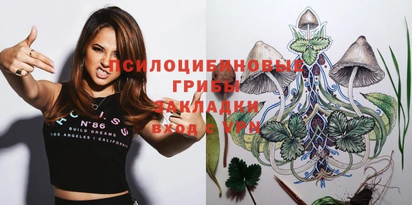 PSILOCYBIN Армянск