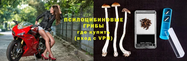 соль ск Балабаново