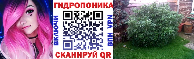хочу наркоту  Райчихинск  Бошки Шишки планчик 